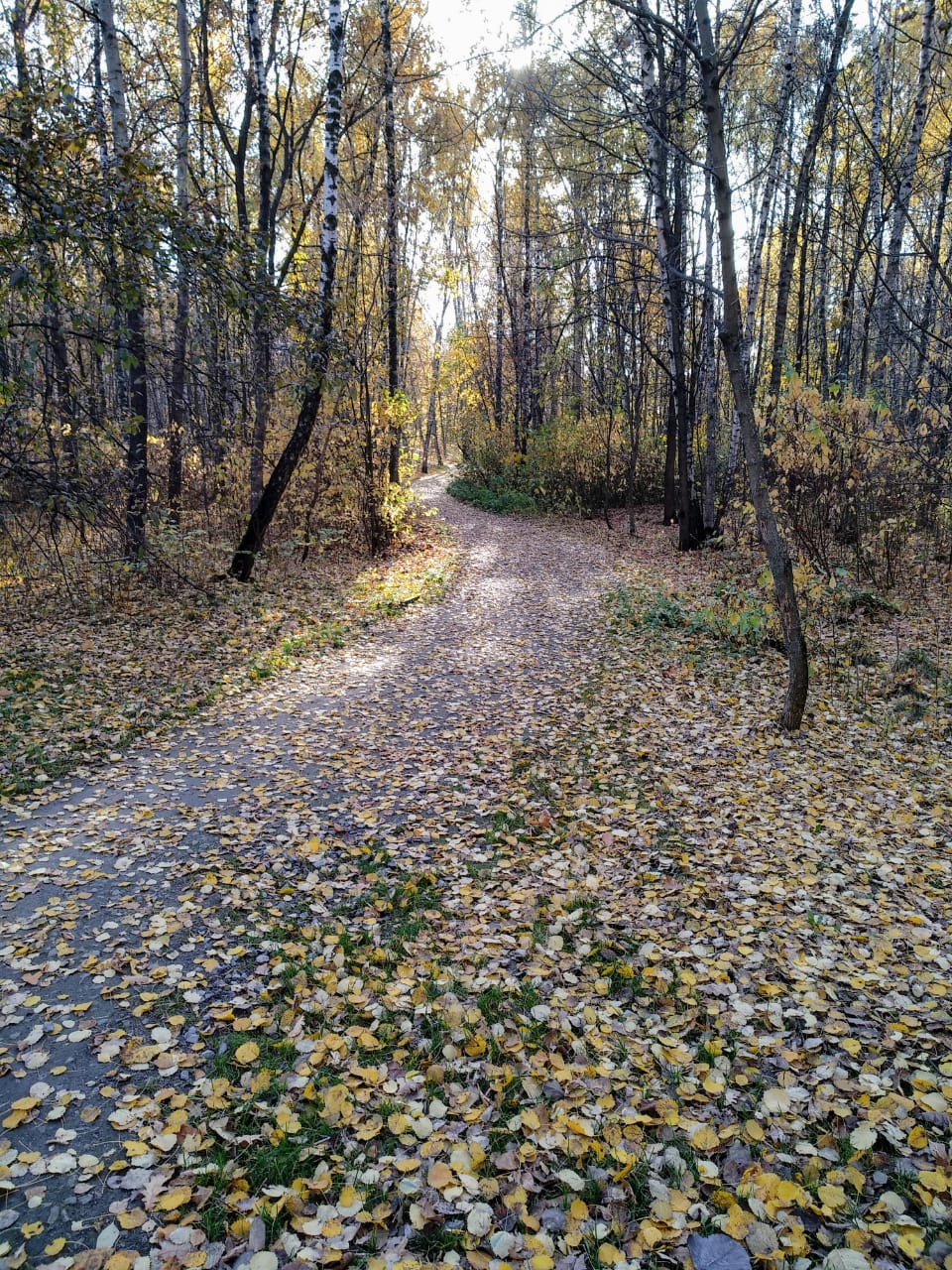 осень в деревне