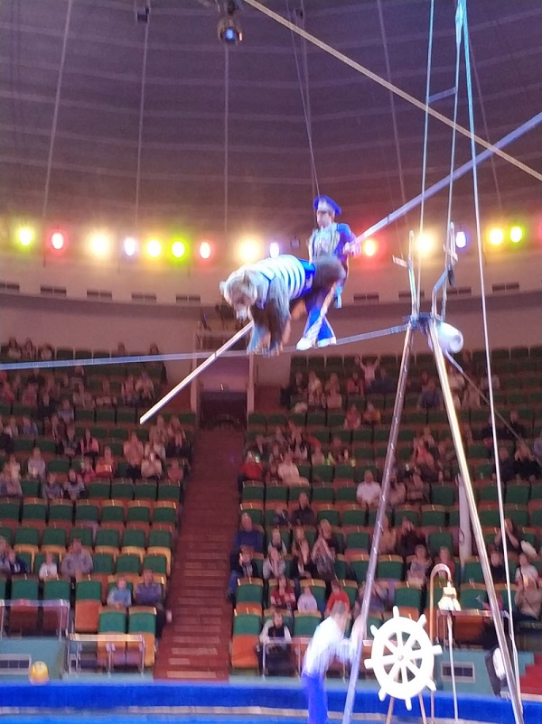 Под куполом цирка в Ярославле