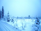 200 км по лыжням Финляндии