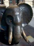 Wien  раньше здесь такие слоны водились, а этот африканский детеныш