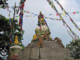Сваямбунатх называют храмом обезьян, благодаря обезьяним стаям, живущим на холме